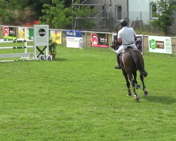 Reitturnier Gardelegen 2019