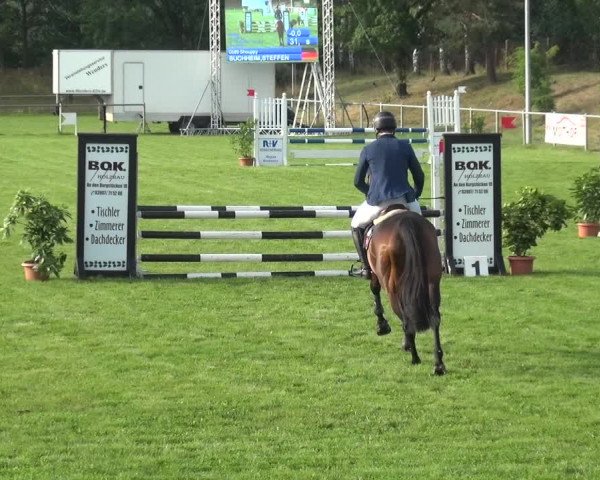 Reitturnier Gardelegen 2019