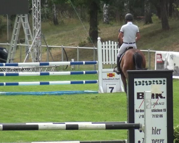 Reitturnier Gardelegen 2019