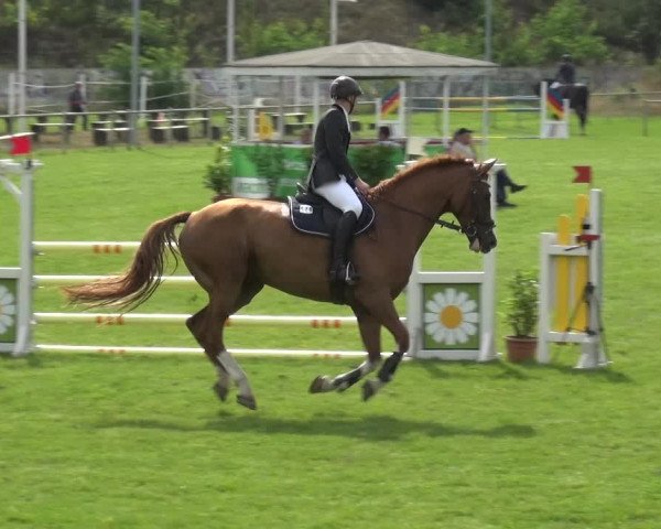 Reitturnier Gardelegen 2019