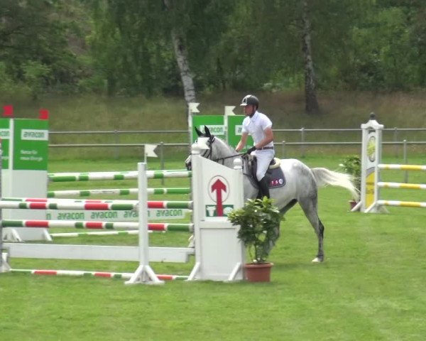 Reitturnier Gardelegen 2019