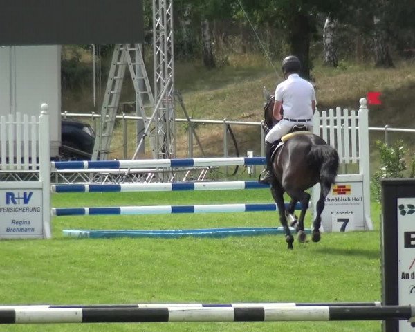 Reitturnier Gardelegen 2019