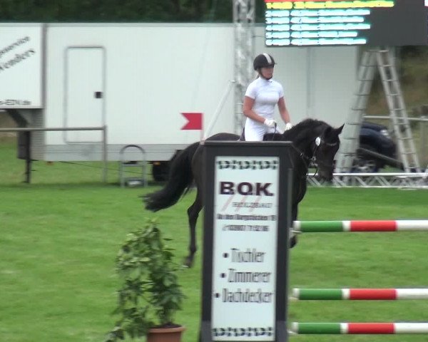 Reitturnier Gardelegen 2019