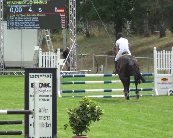 Reitturnier Gardelegen 2019