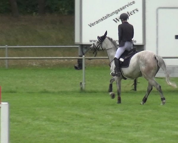 Reitturnier Gardelegen 2019