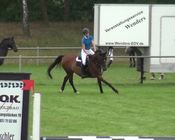 Reitturnier Gardelegen 2019