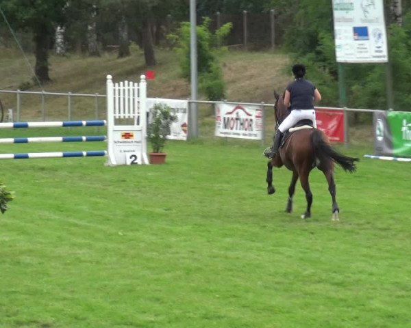 Reitturnier Gardelegen 2019
