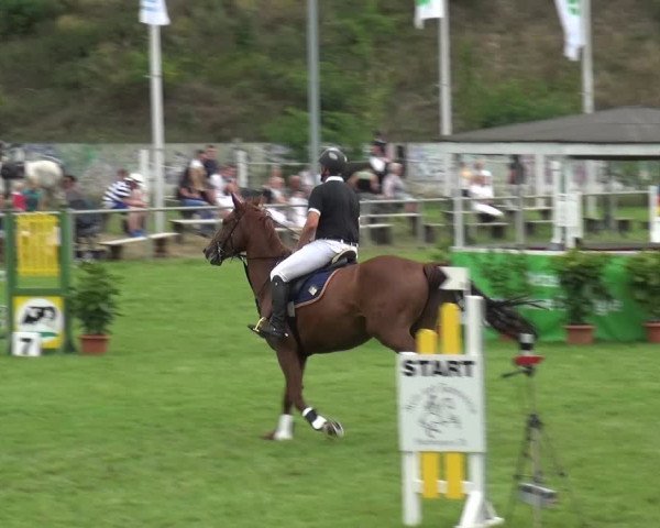 Reitturnier Gardelegen 2019