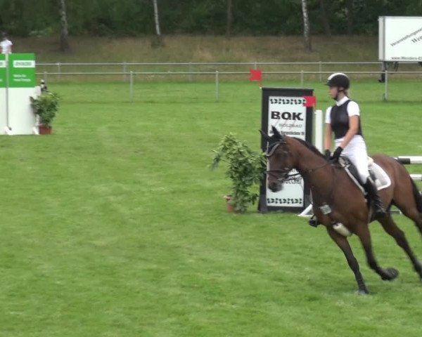 Reitturnier Gardelegen 2019