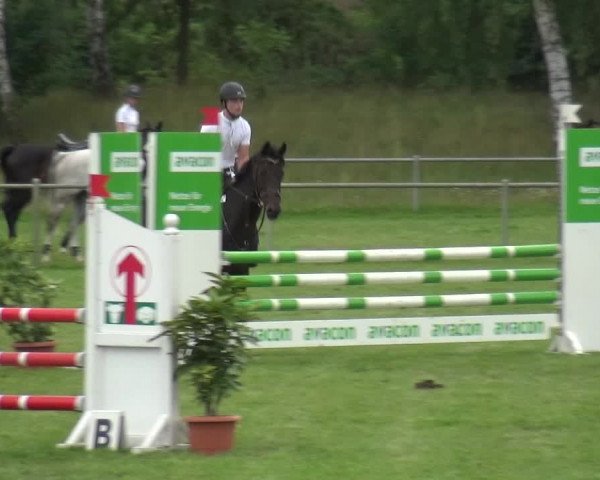 Reitturnier Gardelegen 2019
