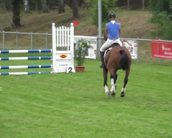 Reitturnier Gardelegen 2019