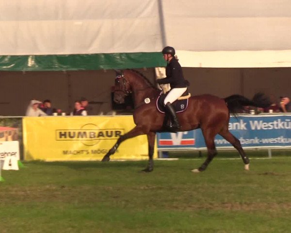 Reitturnier Behrendorf 2019