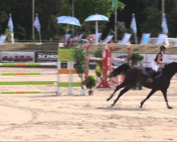 Reitturnier Görlitz 2019