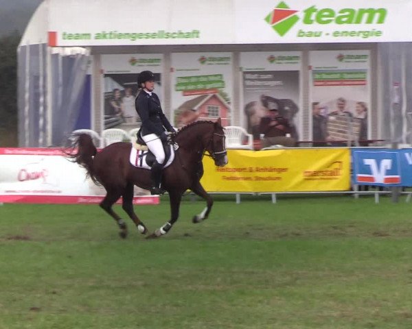 Reitturnier Behrendorf 2019