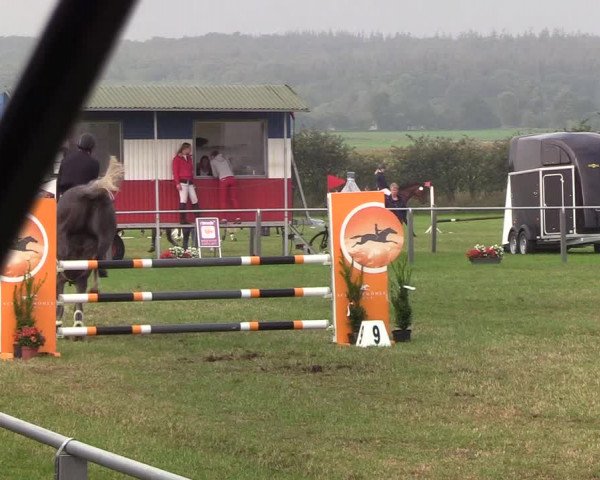 Reitturnier Behrendorf 2019