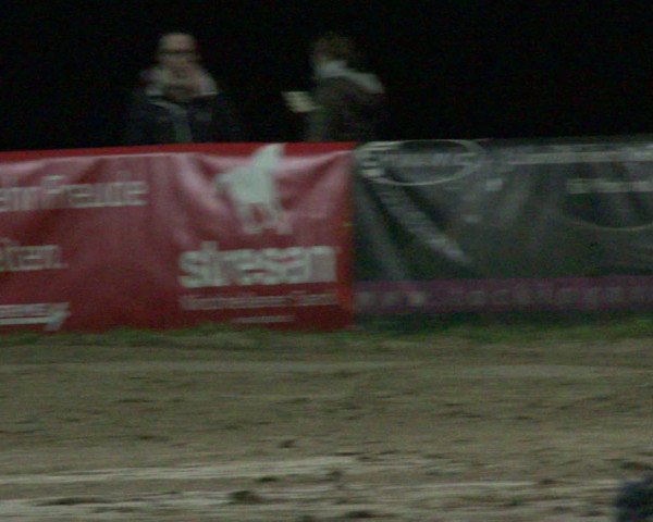 Reitturnier Waltrop 2019