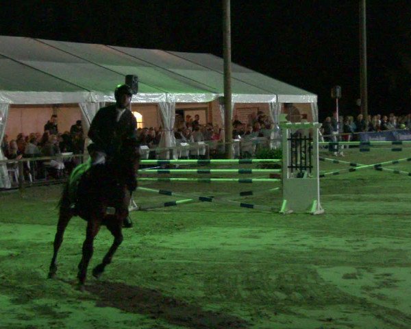 Reitturnier Waltrop 2019