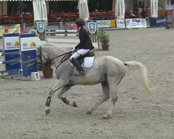 Reitturnier Grafenrheinfeld 2019