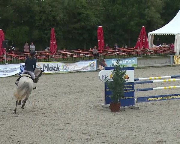 Reitturnier Grafenrheinfeld 2019