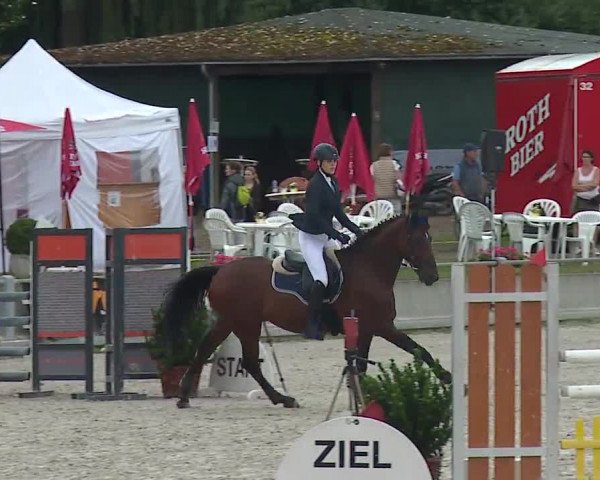 Reitturnier Grafenrheinfeld 2019