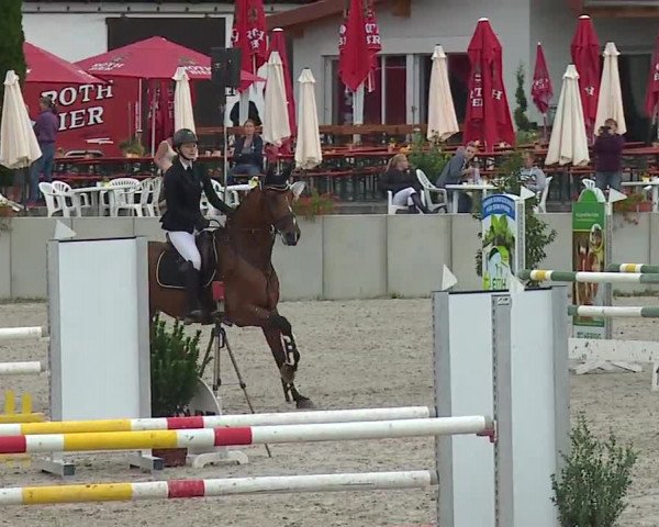 Reitturnier Grafenrheinfeld 2019