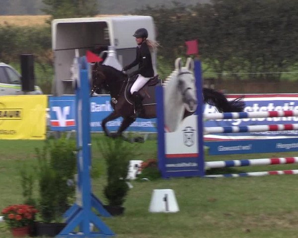 Reitturnier Behrendorf 2019