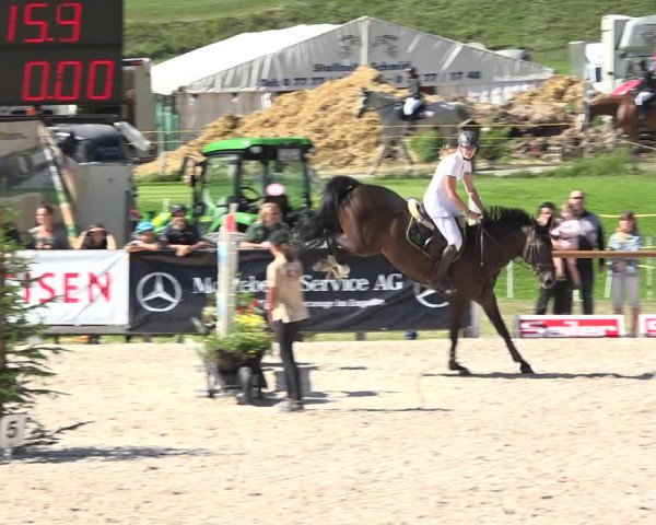 Reitturnier Zuoz 2019