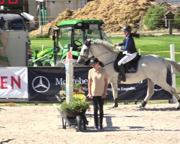 Reitturnier Zuoz 2019