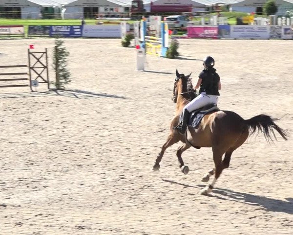 Reitturnier Zuoz 2019