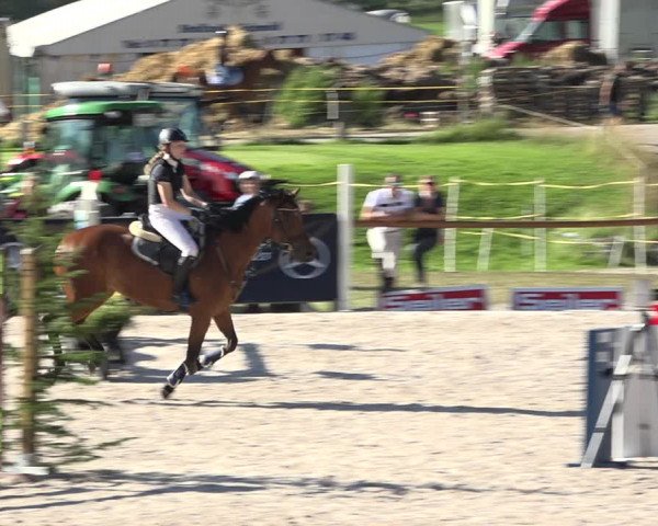 Reitturnier Zuoz 2019