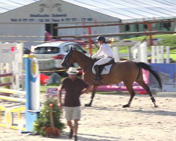 Reitturnier Zuoz 2019
