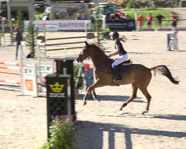 Reitturnier Zuoz 2019