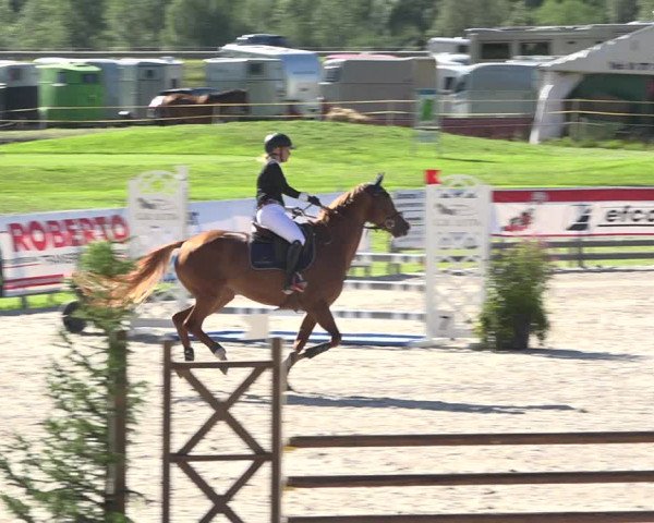 Reitturnier Zuoz 2019