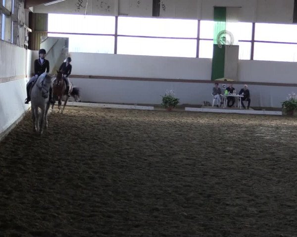 Reitturnier Waltrop 2019
