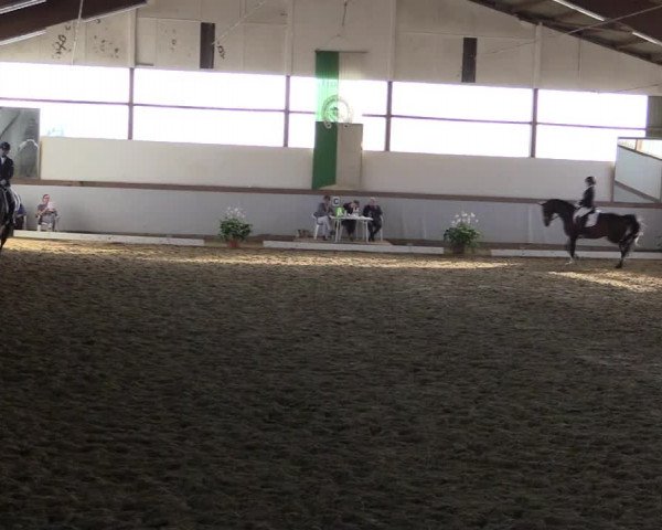 Reitturnier Waltrop 2019