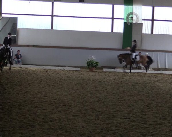 Reitturnier Waltrop 2019