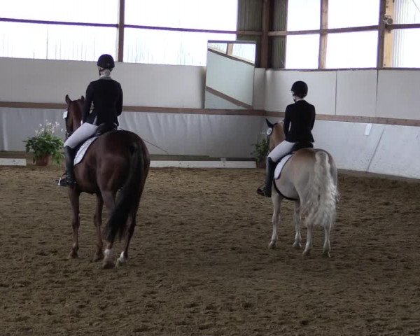 Reitturnier Waltrop 2019