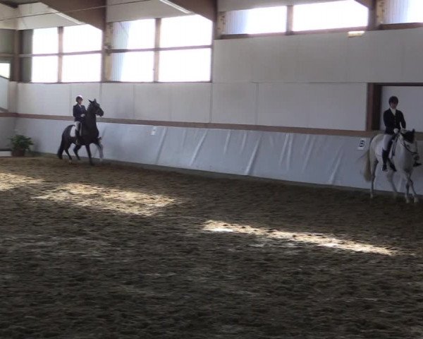 Reitturnier Waltrop 2019