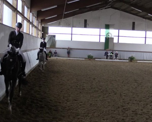 Reitturnier Waltrop 2019