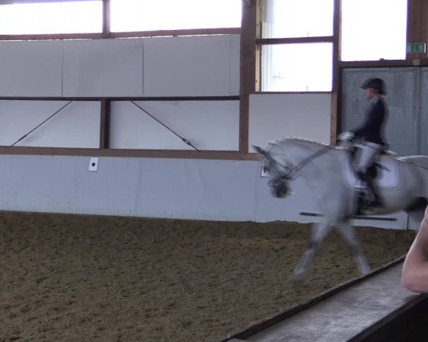 Reitturnier Waltrop 2019