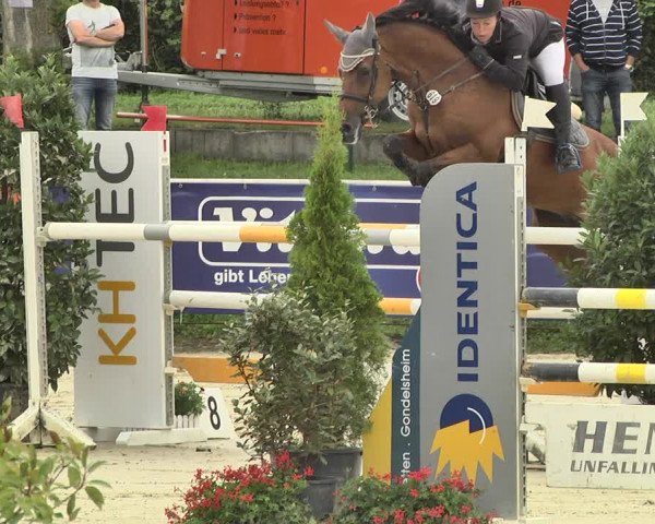 Reitturnier Oberderdingen 2019