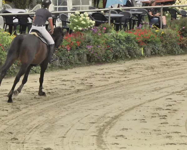 Reitturnier Oberderdingen 2019