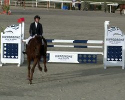 jumper Trefle D'Elle (Selle Français, 2007, from Jarnac)