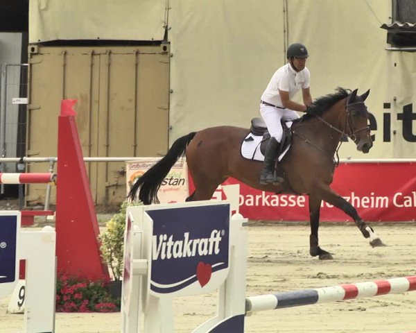 Reitturnier Oberderdingen 2019