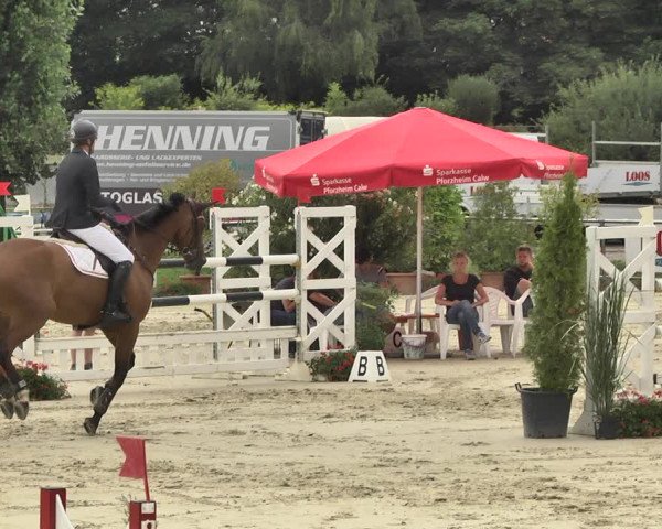 Reitturnier Oberderdingen 2019