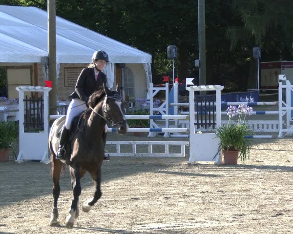 Reitturnier Waltrop 2019