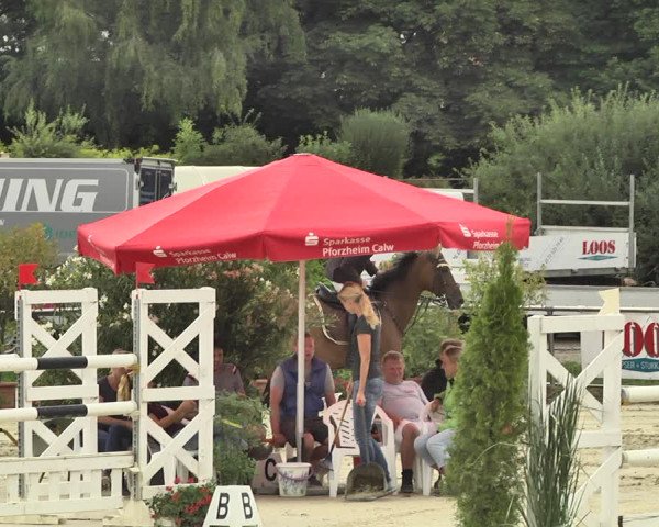 Reitturnier Oberderdingen 2019