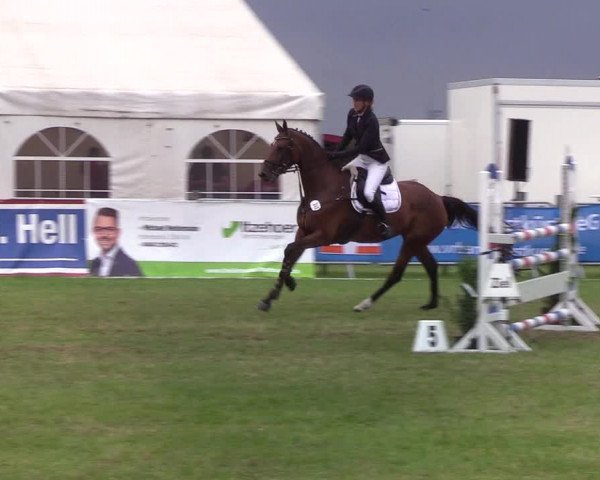 Reitturnier Behrendorf 2019