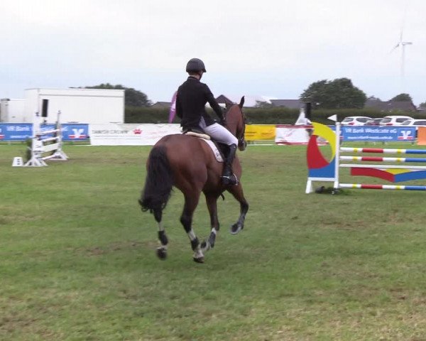 Reitturnier Behrendorf 2019