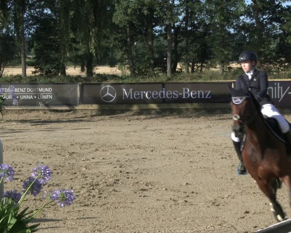 Reitturnier Waltrop 2019
